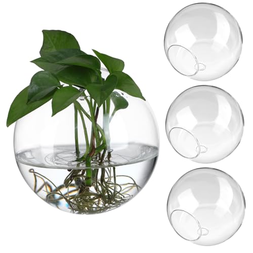 Gogogmee Hängende Terrarien 4 Stück Glas Vermehrungsstationen Schale für Pflanzen Dekorative Wanddekoration von Gogogmee