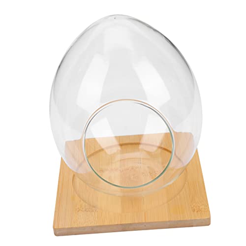 Gogogmee 1 Satz Eiförmige Glasflasche Micro-Landschaftshalter klare Süßigkeitenschale wohnzimmerdeko inneneinrichtung Vase Töpfe für Pflanzen hydrokulturpflanzen Terrarium Desktop-Ornament von Gogogmee