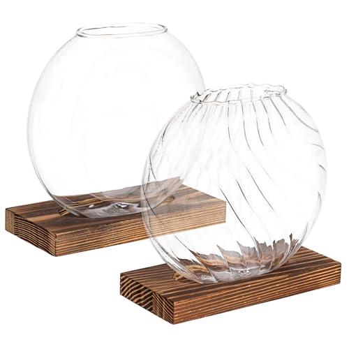 Gogogmee 2 STK Kreative Vase Vermehrungsgefäße Pflanzenterrarium Vermehrungsvasen Für Pflanzen Vasen Klar Blumenhalter Für Tafelaufsätze Kleines Terrarium Tischvase Transparent Glas von Gogogmee