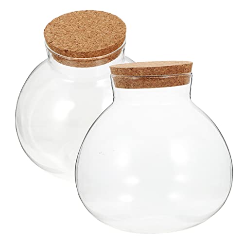 Gogogmee 2St Ökologische Mikrolandschaftsflasche Terrarium-Displayglas Terrarienglas Fisch groß lagercontainer vorratsbehälter Vasen Pflanzen Leere Flasche selber machen Vorratsflasche Kork von Gogogmee