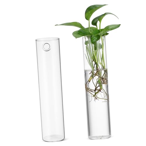 Gogogmee 2St Wandvase hydroponische Wanddekoration Blumenrohrvase Klare Pflanzenterrarien Wandpflanzer Wandmontage blumentopf Kunstpflanzen drinnen Glasvermehrungsstation Wandpflanzenhalter von Gogogmee