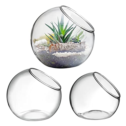 Gogogmee 3pcs Sukkulenten Glas Terrarien Luft Anlage Runde Schalen für Home Office von Gogogmee