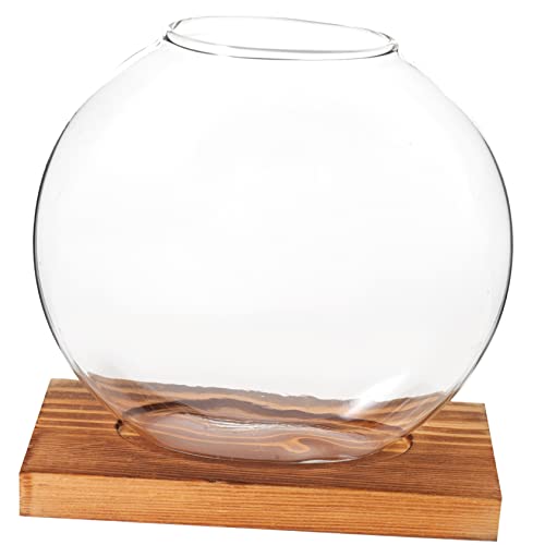 Gogogmee Hydrokultur-Dill-Ornamente Klarer Behälter Wasserpflanzvase Rundes Pflanzenterrarium Sukkulenten-pflanzgefäß Für Terrarien Desktop-Ornament Transparente Wasserflaschen Anlage Glas von Gogogmee