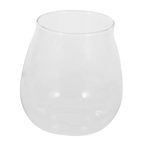 Gogogmee Glasflasche Mikro-Landschaft Terrarium Moos Pflanze Flasche Home Decor für Tisch Küche Fenster von Gogogmee