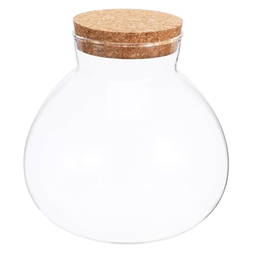 Gogogmee Ökologische Mikrolandschaftsflasche kleines Terrarienset Luftpflanzen-Displayhalter Glasflasche mit Korken Ökologische Flasche Leere Flasche nach Hause Flasche mit Mikrolandschaft von Gogogmee