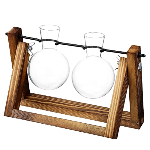 Gogogmee Ornamente Vermehrung von hängenden Pflanzen Pflanzenterrarium klare Vase Glasvasen Schreibtisch Dekoration blumenbank Blumenvase Pflanzenvermehrungsstand Zwiebelvase Pflanzer Holz von Gogogmee