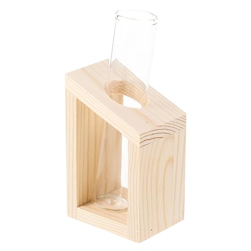 Gogogmee Vasenverzierungen Hängender Blumentopf Lampenfassung kleine Terrarienpflanzen Reagenzgläser Pflanzenvase zimmerpflanzen bürodeko Tischausbreitungsstation Blumenvase aus Glas Holz von Gogogmee