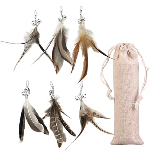 Goiern®Pack of 6 Cat Toy Feather Und 1 Aufbewahrungsbeutel, Cat Fishing Replacement Feathers Pendant，Katzenangel Ersatzfedern Anhänger Feder Katzenspielzeug für Katze von Goiern