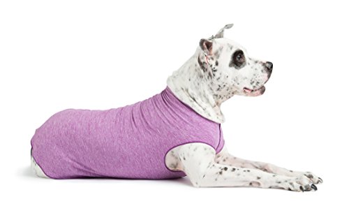 Gold Paw Sun Shield Hund Tee – Violett Heather, Size 24, Rose von Gold Paw