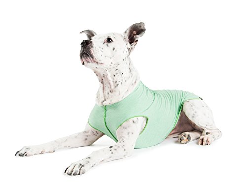 Gold Paw Sun Shield Dog Tee,T-Shirt für Hunde,UV-Schutz, Haustierangstlinderung, Wundpflege,Schützt vor Fuchsschwänzen, hilft Alopezie,Maschinenwaschbar, alle Jahreszeiten,Größe 2,Pistazien von Gold Paw