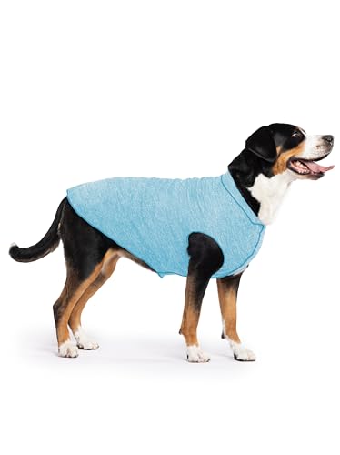 Gold Paw Sun Shield Hund Tee – Ocean Heather, Size 28, Blau von Gold Paw