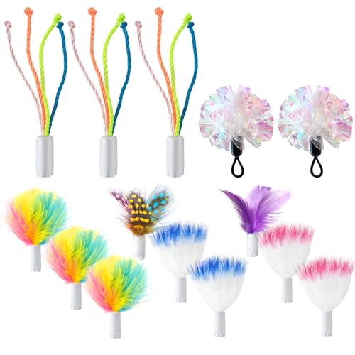 GoldenSun14Pcs Cat Toys Replacement Interactive Kitten Feather Toys for Indoor Cats with Mylar Crinkle Balls Multicolor Pack for Indoor Exercise von GoldenSun