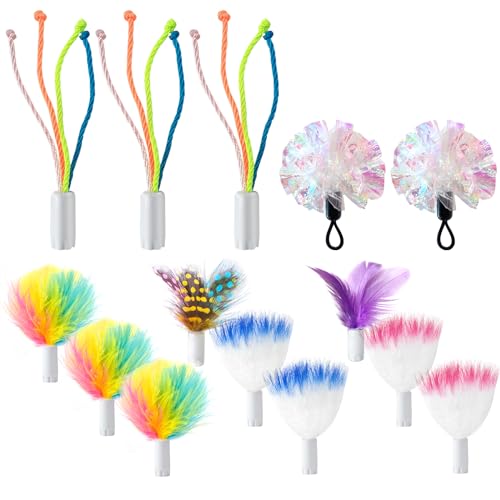 GoldenSun14Pcs Cat Toys Replacement Interactive Kitten Feather Toys for Indoor Cats with Mylar Crinkle Balls Multicolor Pack for Indoor Exercise… von GoldenSun