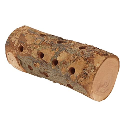 Gonetresc9y2thxfw-12 Hamsterkauspielzeug aus Holz, stehender Stick, Vogelkäfig, PerchLog Kauspielzeug, sicheres Kauspielzeug für Molaren Biss aus Holz, stehender Stock für kleine Tiere von Gonetre