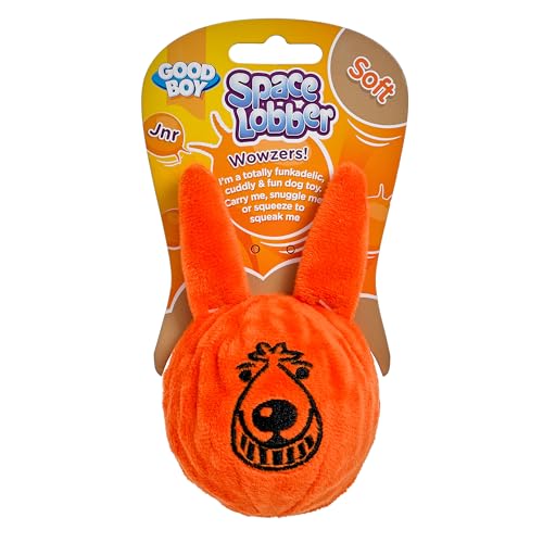 Good Boy Space Lobber Soft Fetch (Junior) von Good Boy