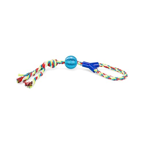 Good Scout Dental Ball und Baumwollseil Hundespielzeug, Indoor und Outdoor Zerrspielzeug für Hunde mit Zahnfleischmassage, Gummizähne, 5 cm / 1,95 Zoll von Good Scout