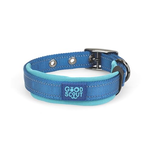 Good Scout Gepolstertes strapazierfähiges Hundehalsband für Welpen und ausgewachsene Hunde, Blau/Himmel, Größe M von Good Scout