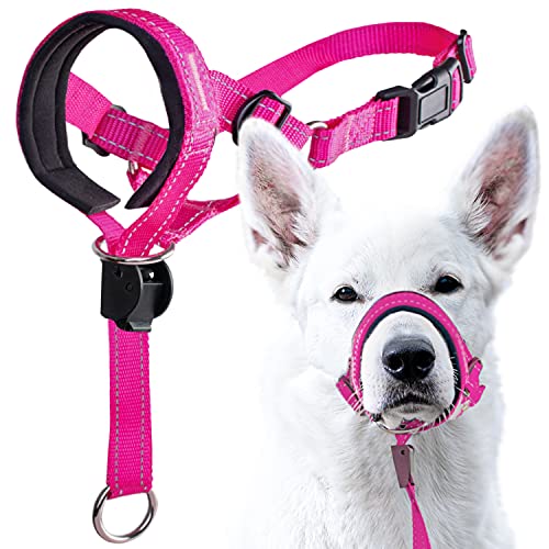 GoodBoy Halfter für Hunde, Nylon, Pink, 4 Stück von GoodBoy