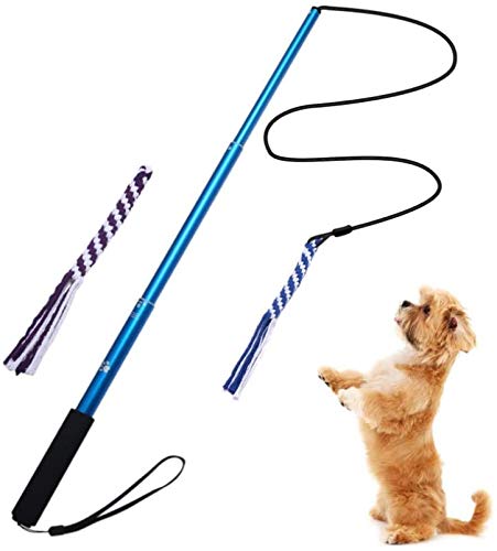 GoodsBeauty Interaktives Hundespielzeug – ausziehbare Flirt-Stange mit 2 geflochtenen Seilen für Hunde, Outdoor-Unterhaltung, Zug und Bewegung, schwarz, Größe L, Blau L von AMYESE