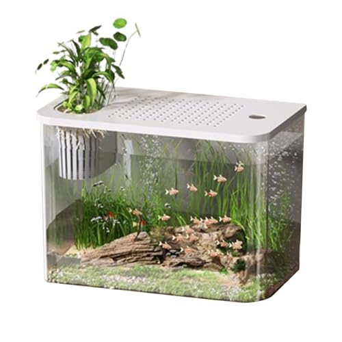 Goowafur Betta Aquarium Tank,Aquarium Starter Kits, Transparentes Desktop-Goldfischbecken, Schildkrötenaquarium, Kleine Aquarien, dekorativer kompakter Tank für die Schildkrötenzucht, kleine Fische von Goowafur