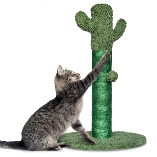 Gopets Katzenkratzbaum - Kaktuskratzbaum mit Seil - Kratzbrett modernes Design - Kratzmöbel mit Spielzeug - 65cm von Gopets