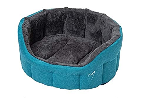 CDBSW-TE Gorpets Camden Deluxe Bett, Größe S (55,9 cm), Blaugrün von Gor Pets