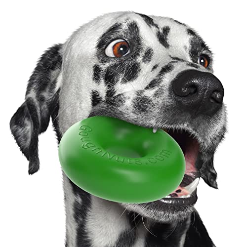 Goughnuts - Hunde-Kauspielzeug, praktisch unzerstörbar - Das Hundespielzeug für Power-Kauer hält selbst hartnäckigen Hunden Stand - Robuster Kautschukring für mittlere Rassen 13-32 kg - Grün 13 cm von Goughnuts
