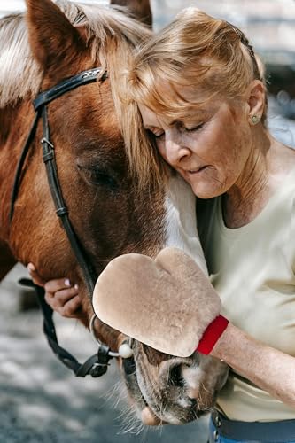 Gracefur Ein Paar Schafsfell-Bürstenhandschuhe, Pferdeschwämme, Handschuhe für Pferdepflege, Schrubber für Zaumzeug, Sattel, Zaumzeug, Polieren und Pferdewaschen von Gracefur