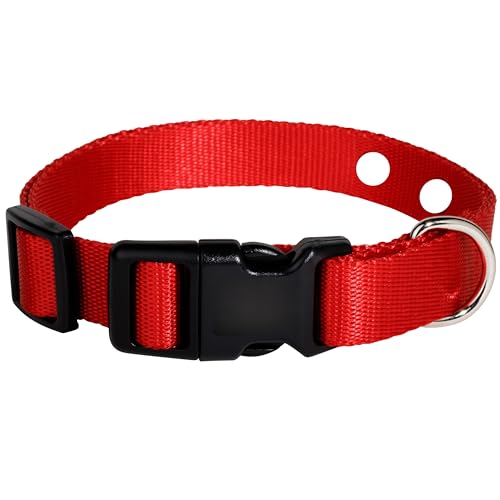 Ecollar Ersatzband, 2,5 cm, Rot von Gracie To The Rescue