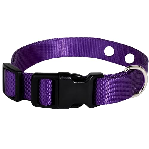 Ecollar Ersatzband, 2,5 cm, Violett von Gracie To The Rescue