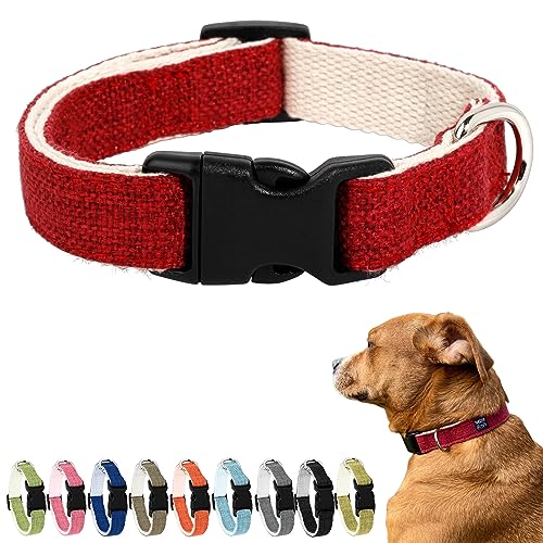 Pawsitive Hanf Hundehalsband - Hundehalsband, Tolles Hundehalsband für empfindliche Haut, Weiches Halsband für Hunde, Weiches Hundehalsband (Groß, Rot) von Gracie To The Rescue