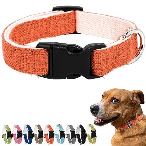 Pawsitive Hanfhalsband - Hypoallergen, weiches Bio-Halsband für Hunde mit empfindlicher Haut (groß, Orange) von Gracie To The Rescue