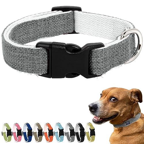 Pawsitive Hanf Hundehalsband - Hypoallergenes Hundehalsband, Tolles Hundehalsband für Empfindliche Haut, Weiches Halsband für Hunde, Weiches Bio-Hundehalsband Umweltfreundlich (Klein, Grau) von Gracie To The Rescue