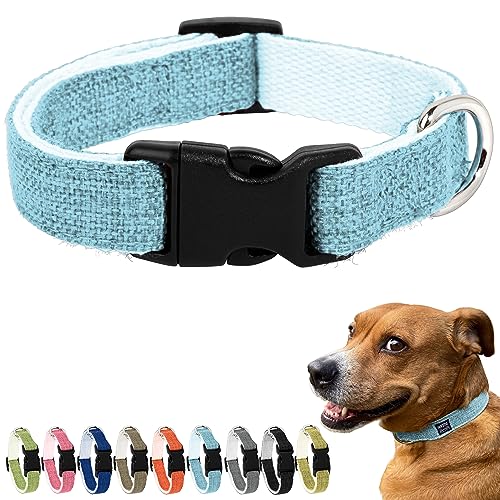 Pawsitive Hanf Hundehalsband - Hypoallergenes Hundehalsband, Tolles Hundehalsband für Empfindliche Haut, Weiches Halsband für Hunde, Weiches Bio-Hundehalsband Umweltfreundlich (Klein, Hellblau) von Gracie To The Rescue