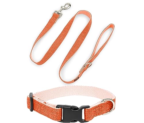 Gracie To The Rescue Pawsitive Hundehalsband aus Hanf, hypoallergen, tolles Hundehalsband für empfindliche Haut, weiches Halsband für Hunde, weiches Bio-Hundehalsband, umweltfreundlich (Medium, von Gracie To The Rescue