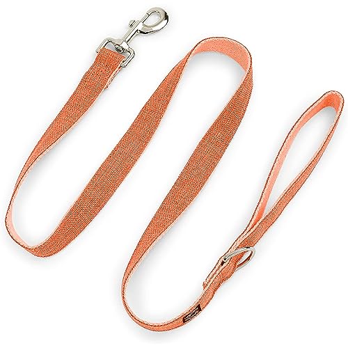 Pawsitive Hanf-Hundeleine – aus nachhaltigem Hanf – langlebig, maschinenwaschbar, ideal für kleine, mittelgroße und große Hunde (Orange, L) von Gracie To The Rescue