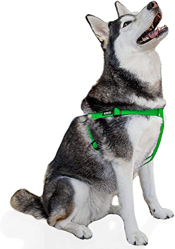 Pawsitive Hundegeschirr, Hanf, Step-in-Stil, weich und hypoallergen, ideal für kleine, mittelgroße und große Hunde, Größe L, Grün von Gracie To The Rescue