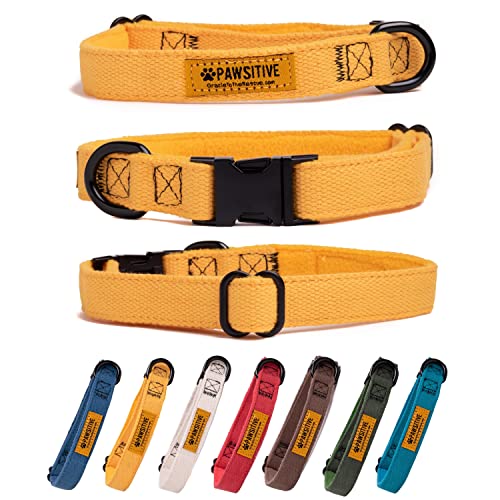 Pawsitive Hundehalsband, Hanf, besonders weich, hypoallergen, Innenfutter Ideal für kleine, mittelgroße und große Hunde, Gelb von Gracie To The Rescue