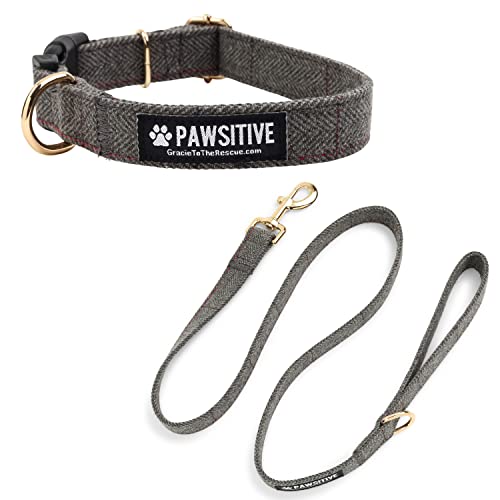 Pawsitive Hundehalsband-Set aus Wolle (klein, grau) von Gracie To The Rescue