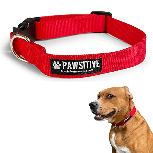 Pawsitive Hundehalsband aus Bambus. Weiches Hundehalsband für Hunde Hypoallergenes Halsband für kleine, mittelgroße und große Hunde Hundehalsbänder für kleine Hunde Nachhaltig, umweltfreundlich, von Gracie To The Rescue