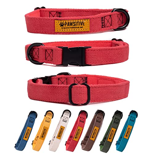 Pawsitive Hundehalsband aus Hanf, besonders weich, hypoallergen, ideal für kleine, mittelgroße und große Hunde, Rosmarinrot von Gracie To The Rescue