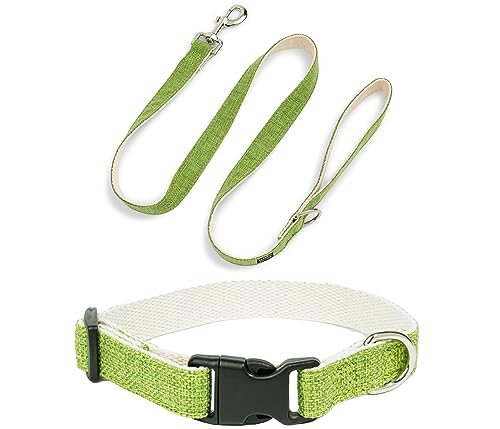 Pawsitive Hundehalsband aus Hanf, hypoallergen, tolles Hundehalsband für empfindliche Haut, weiches Halsband für Hunde, weiches Bio-Hundehalsband, umweltfreundlich (Medium, grünes Set) von Gracie To The Rescue