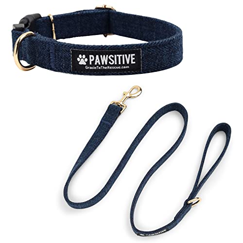 Pawsitive Hundehalsband aus Wolle - Hypoallergenes Hundehalsband, Tolles Hundehalsband für Empfindliche Haut, Weiches Halsband für Hunde, Weiches Bio-Hundehalsband Umweltfreundlich (Klein, Blau und von Gracie To The Rescue