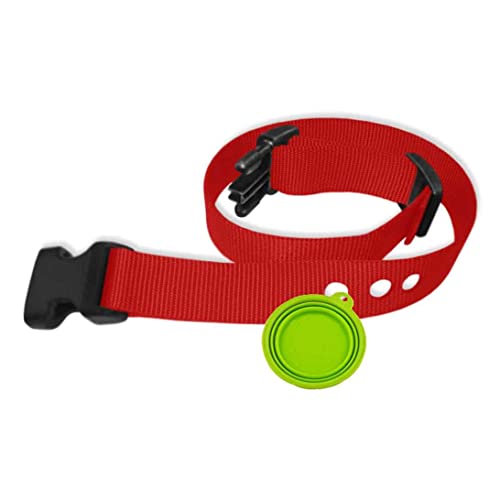 Grain Valley Dog Supply Ersatzband – passend für die meisten PetSafe-Halsbänder – 3 vorgestanzte Löcher – 2,5 cm Nylon inklusive eOutletDeals Haustier-Reiseschüssel (rot) von Grain Valley Dog Supply