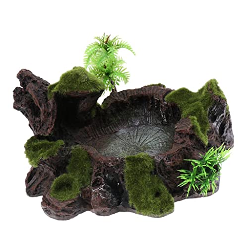 Gralara Terrarium Dekoration Schale für Reptilien und Amphibien von Gralara