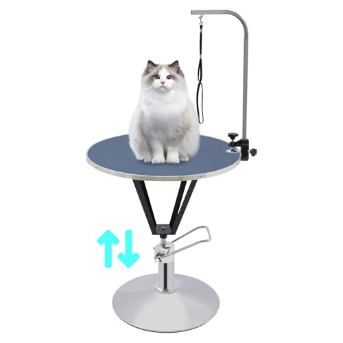 Trimmtisch Hundepflegetisch Fellwechselpflege für Hunde und Katze, Hydraulisch Anhebbarer Tierpflegetisch 360° Geschwenkt Tischplatte,Groomer Tisch Pflegetisch Mit Sicherheit Leine (Blau, Silber) von GramStudio