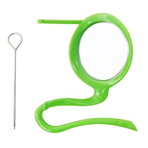 3-in-1 Papageien-Futterstation aus Metall, Obst- und Gemüsehalter, Gabel mit Acryl und Sitzstange, Ständer für kleine Vögel, mit Sitzstange für Käfig, für Wellensittiche, Papageien, Sittiche 3-in-1 Papageien-Futterstation aus Metall, Obst- und Gemüsehalter, Gabel mit Acryl und Sitzstange, Ständer für kleine Vögel, mit Sitzstange für Käfig, für Wellensittiche, Papageien, Sittiche von Gramigg