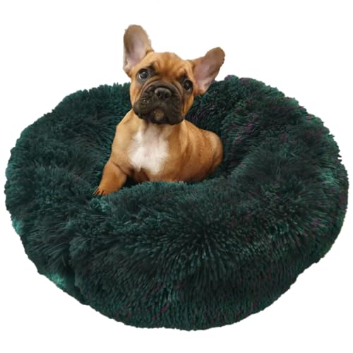 Grand Filippo Fluffy Maschinenwaschbar Hundebett 50 cm - Handgefertigt Hundebett Flauschig - Hundekissen Flauschig - Katzenbett Waschbar - Rund Katzenbett Grün von Grand Filippo