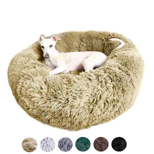 Grand Filippo Fluffy Hundebett mit waschbarem Bezug 80 cm - Handgefertigt Hundebett Flauschig - Hundekissen Flauschig - Katzenbett Maschinenwaschbar - Rund Katzenbett Beige von Grand Filippo