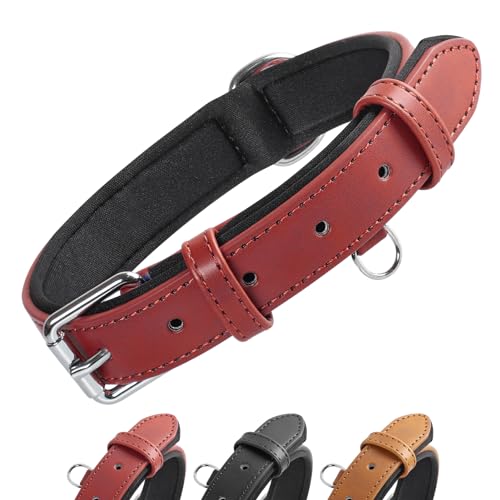 Grand Line Leder Hundehalsband, Lederhalsband Hund mit Weichem Gepolstertes, Breiter und Dicker Hundehalsband, Verstellbares Halsband Hunde für Kleine, Mittlere, Große Hunde (Rot, L) von Grand Line